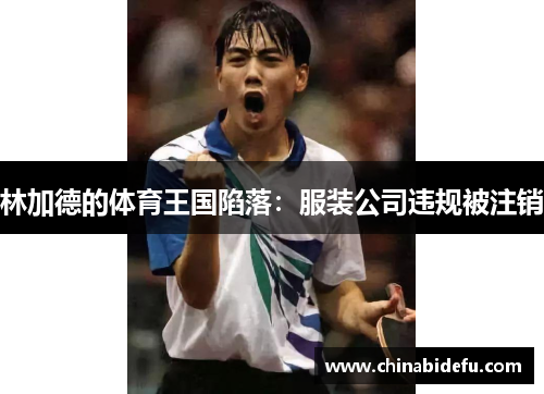 林加德的体育王国陷落：服装公司违规被注销